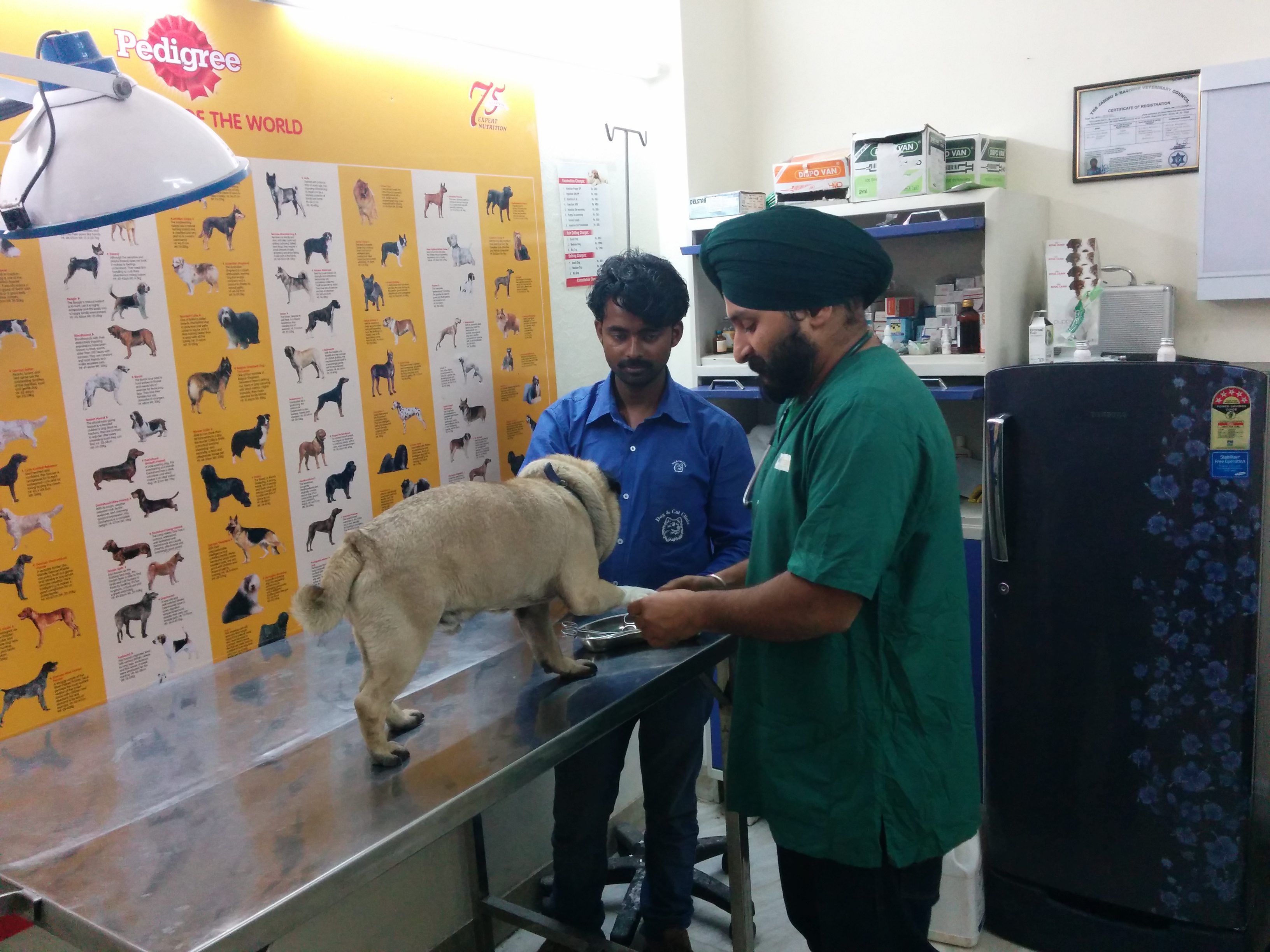 Dog and Cat Clinic CR Park Delhi