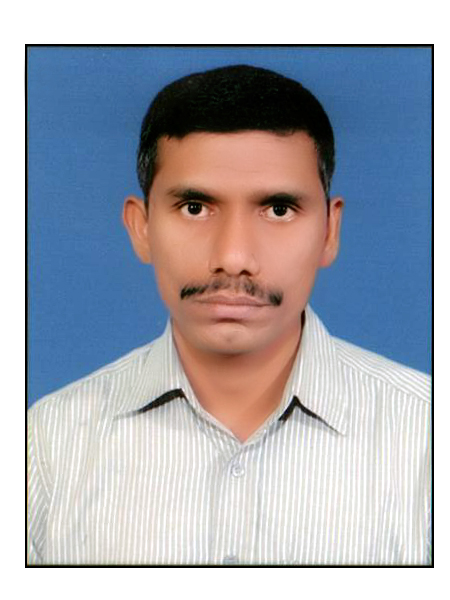 View All