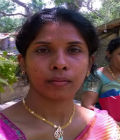 View All