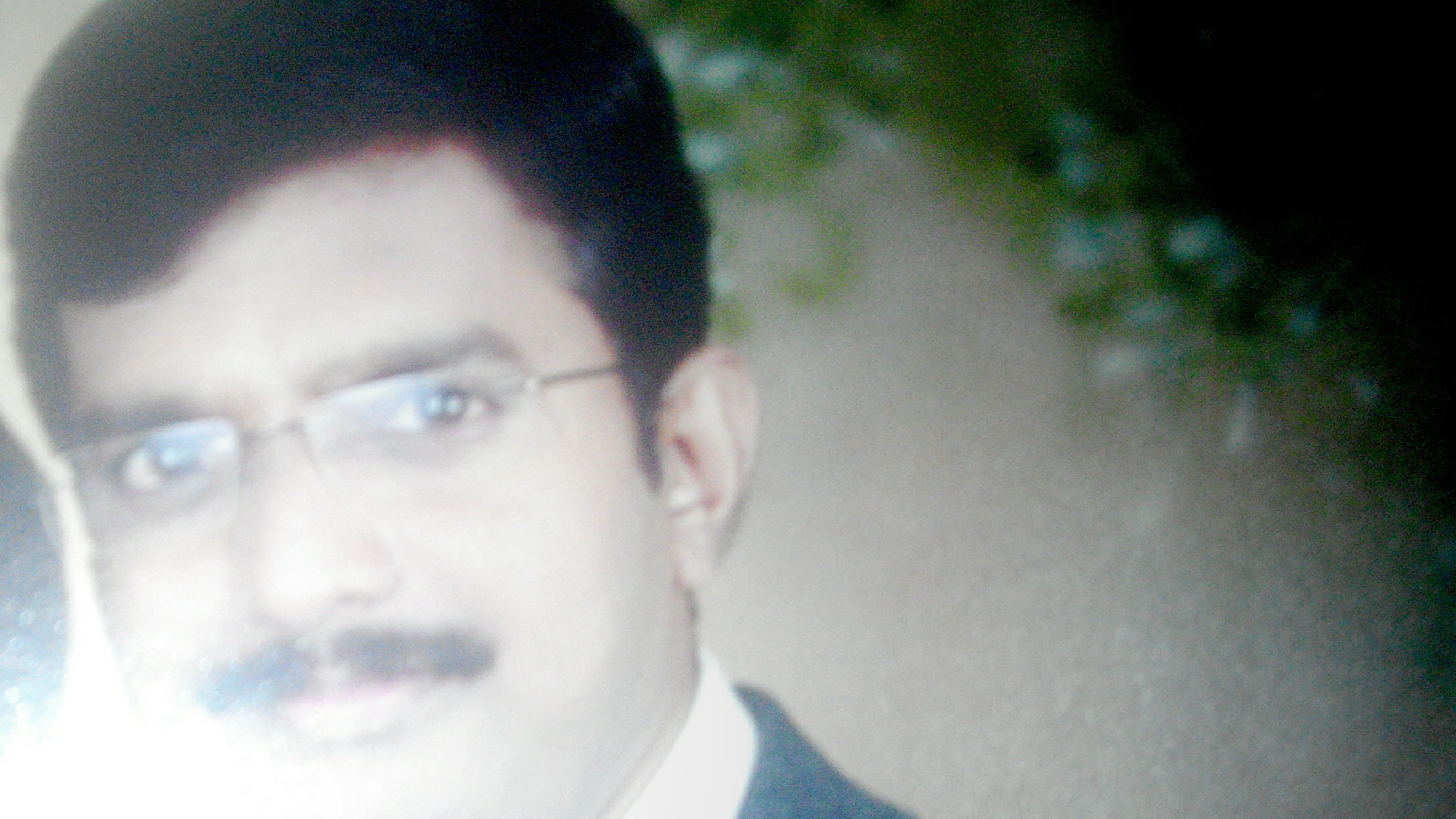 View All