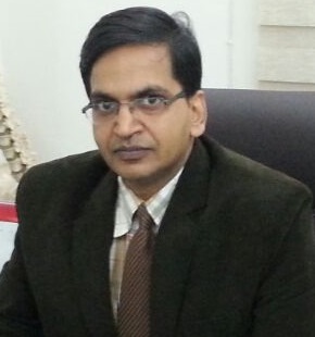 View All