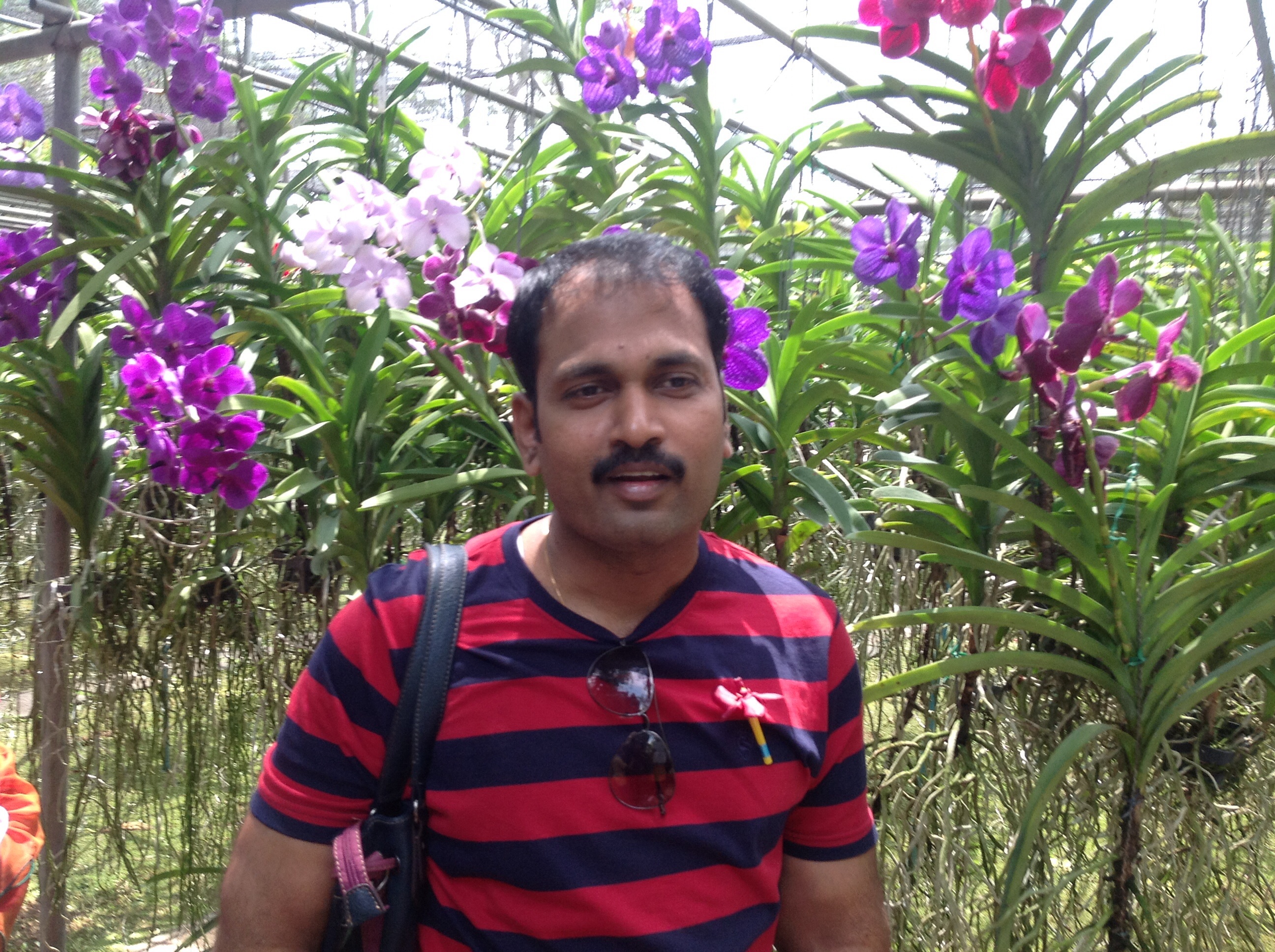 View All