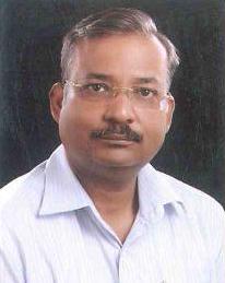 View All