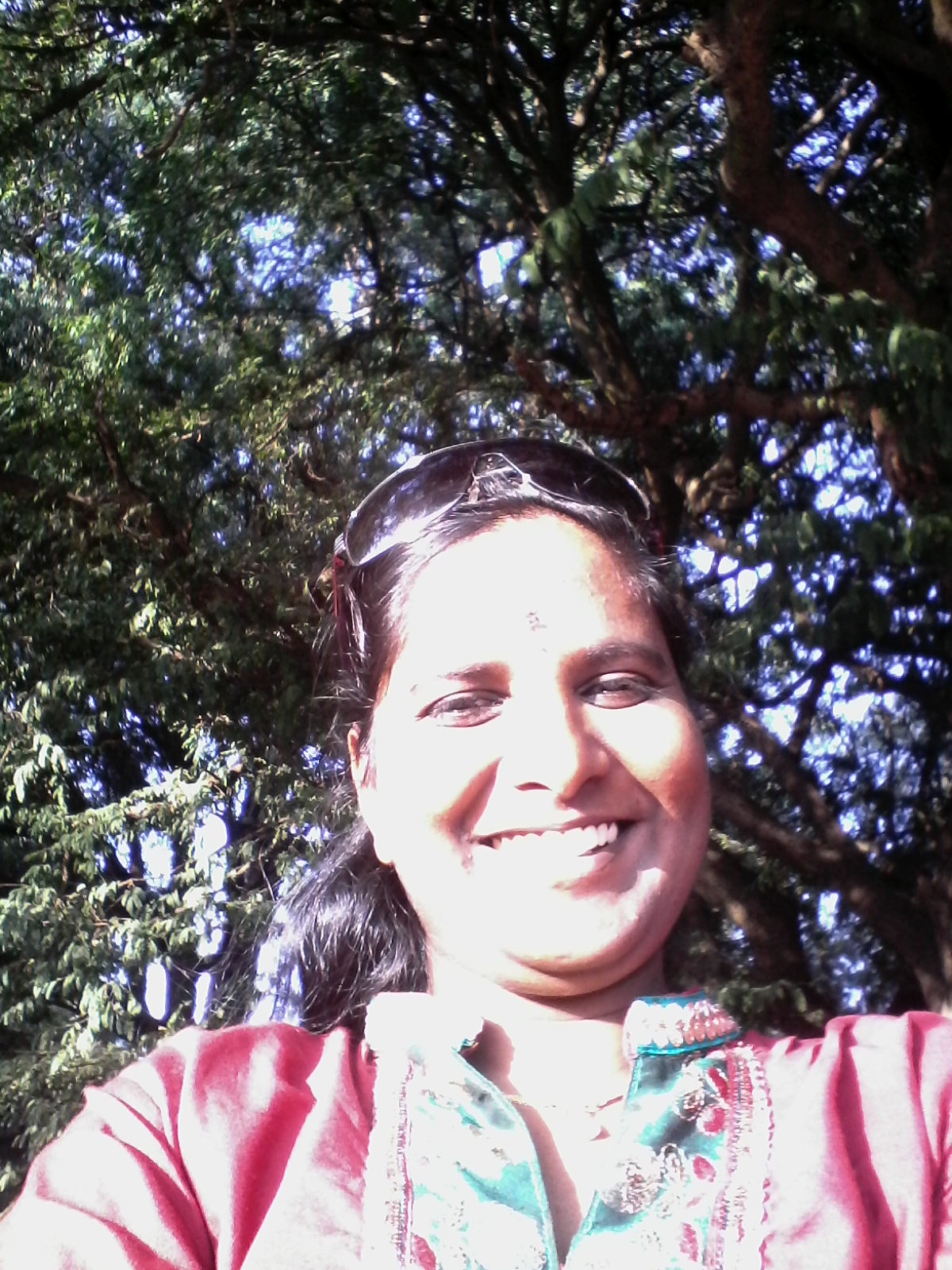 View All