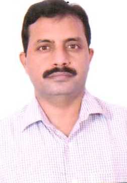 View All
