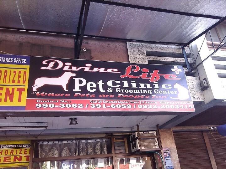 grand ave pet clinic