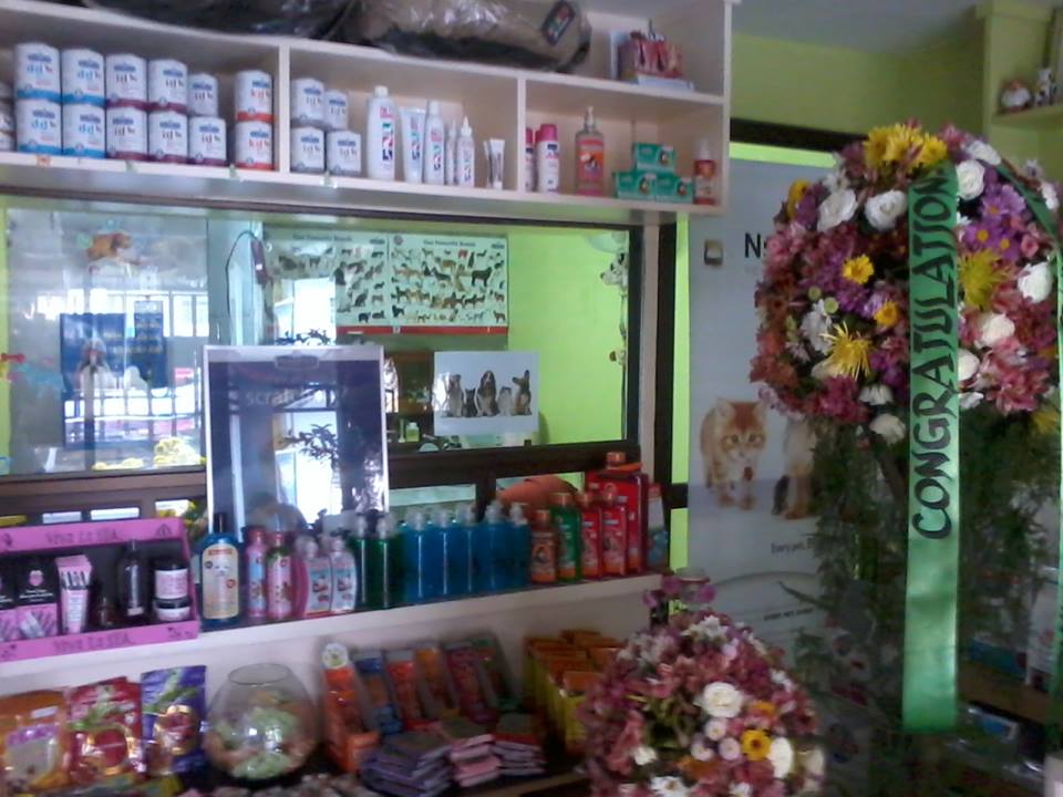 valencia veterinary clinic