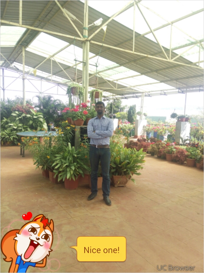 View All