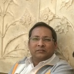 View All