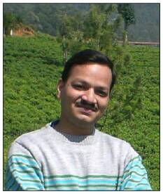 View All