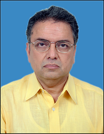 View All