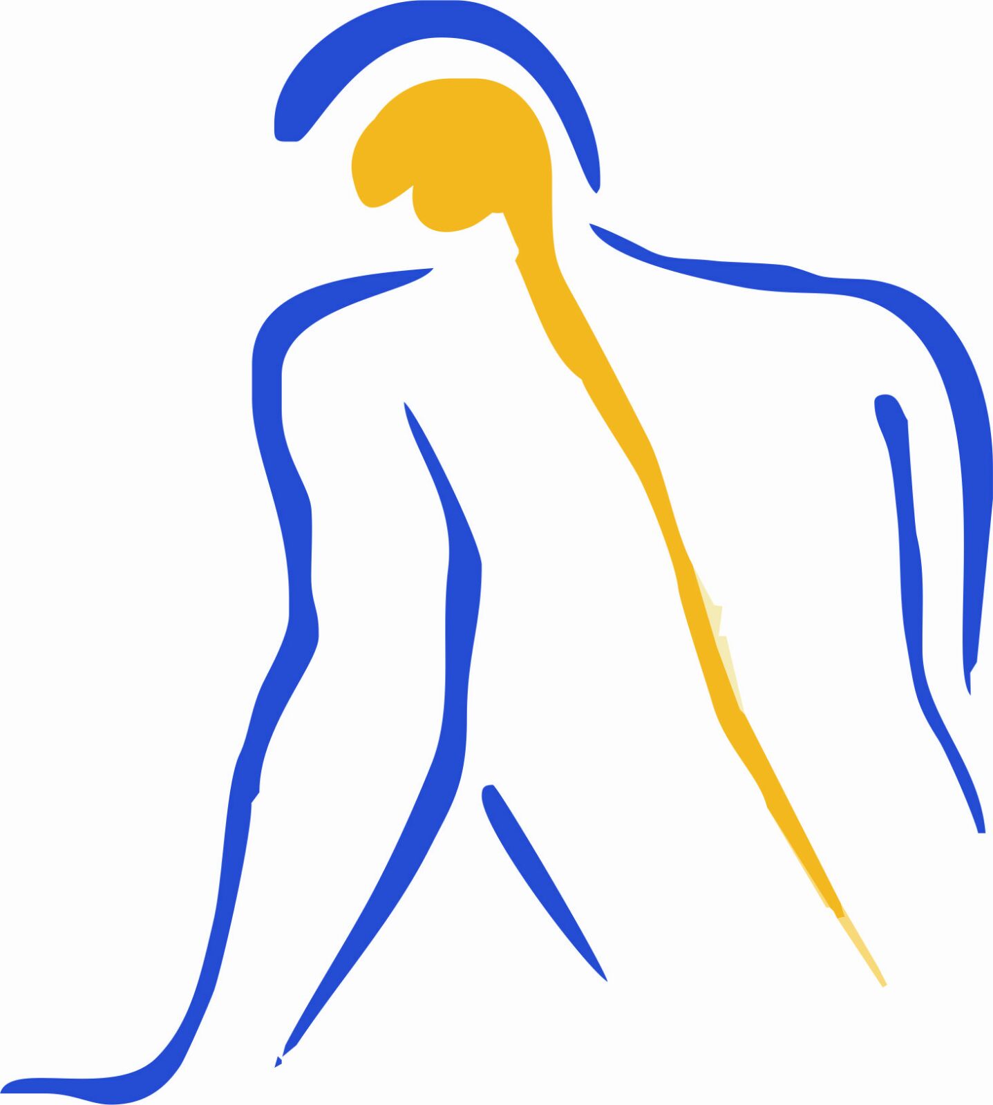 Neuroorigins Brain And Spine-logo