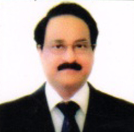 View All